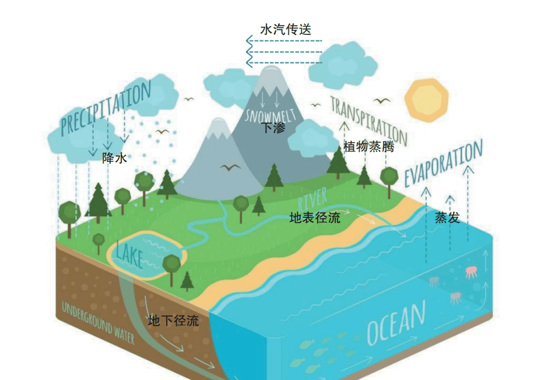 水利科普 | 什么是水循环？