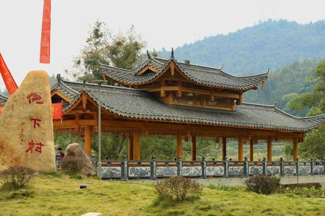 美景甘棠镇倪下村银杏染冬美如画