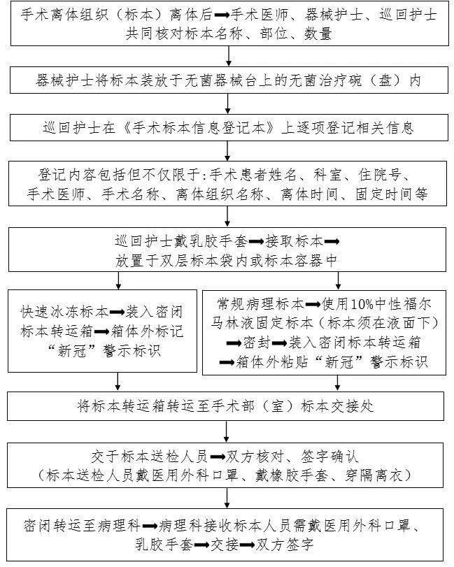 防控|新冠防控史上最全流程图汇总，值得收藏！