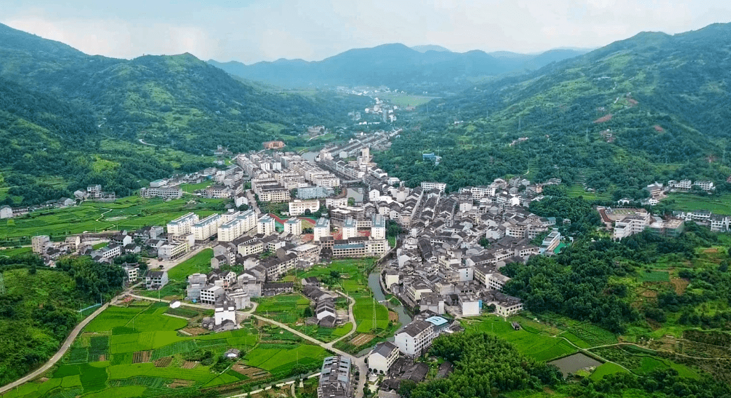 水未来丨南宋大溪续乡愁 乡贤回归报桑梓_南宋镇_建设_溪光