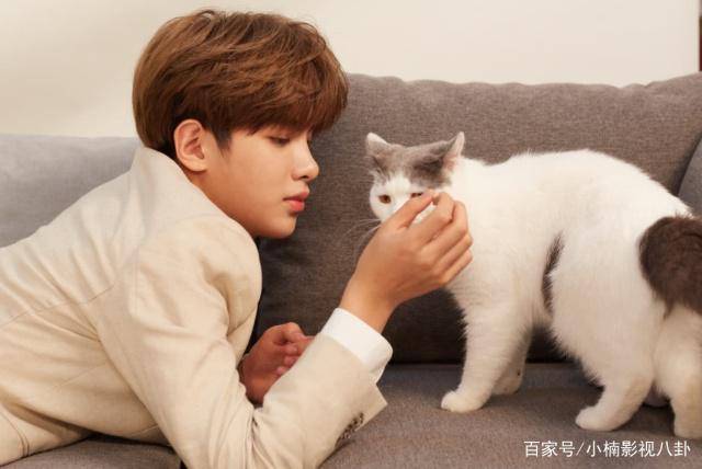 有一种宠叫黄明昊与猫,看到的他"吸猫照",网友:我酸了_猫咪_画面_不