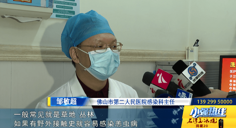 肝功能|女子逗猫后进了ICU，医生提醒：这种病在南方多发