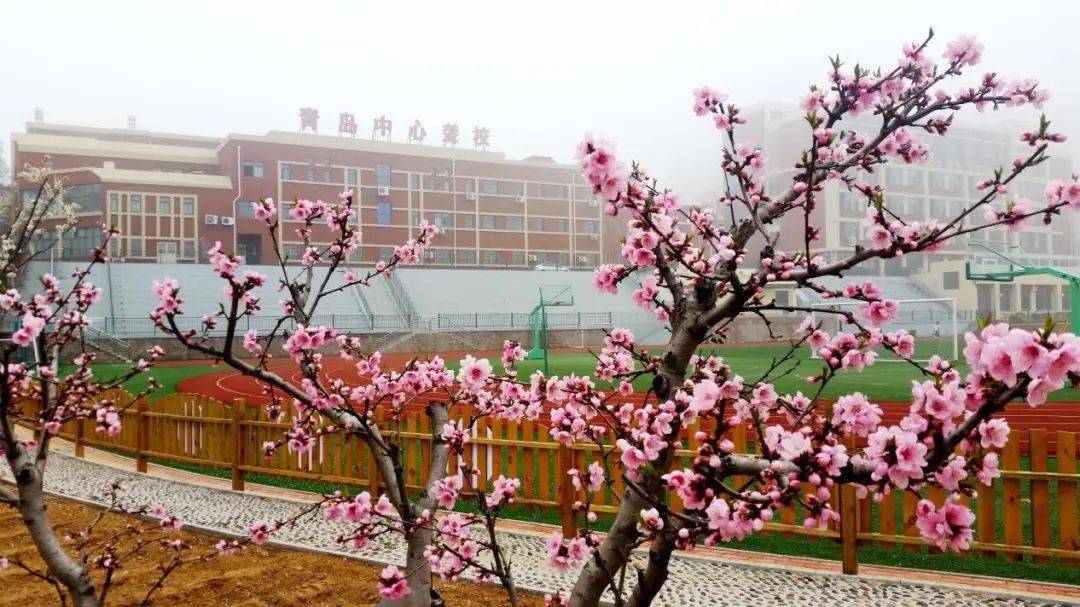 占全国|中国故事丨刘本部：我愿做那把醇厚深沉的低音提琴