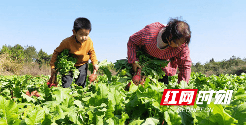 乡村|宁远：修通致富路 山村拔穷根