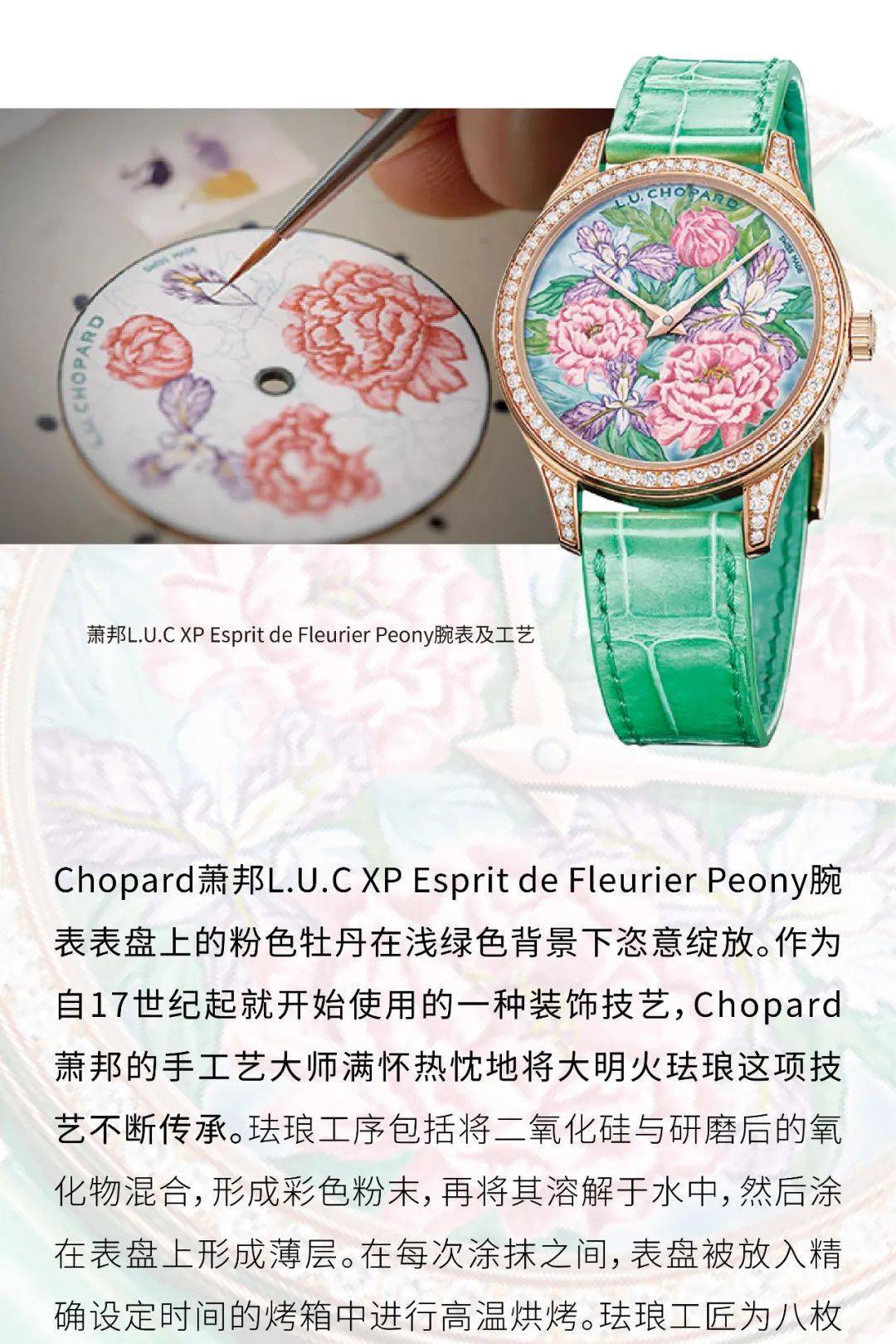 ��������,��������