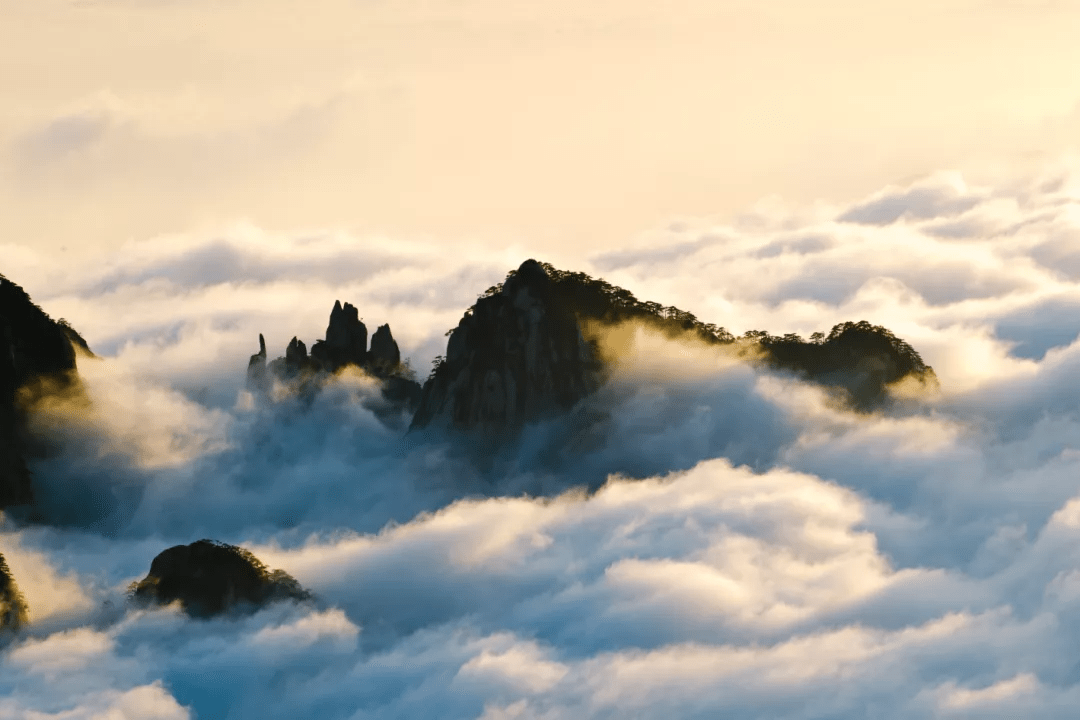 每年出现云海景观高达200多天因此云海也被誉为"黄山第一奇观"以"美