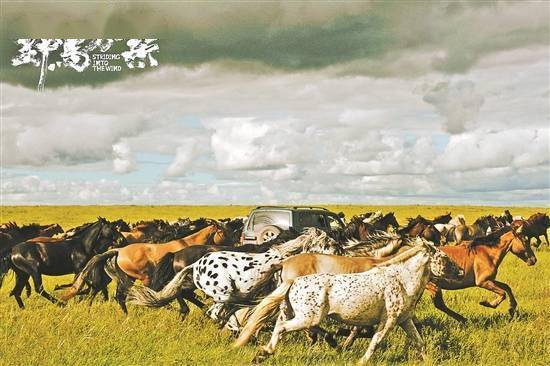 生活|驾现实之车，寻心中野马