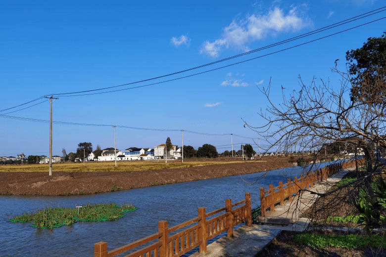 不断打造美丽河湖景观,形成河湖特色文化,让河道绿色化成为群幸乡村