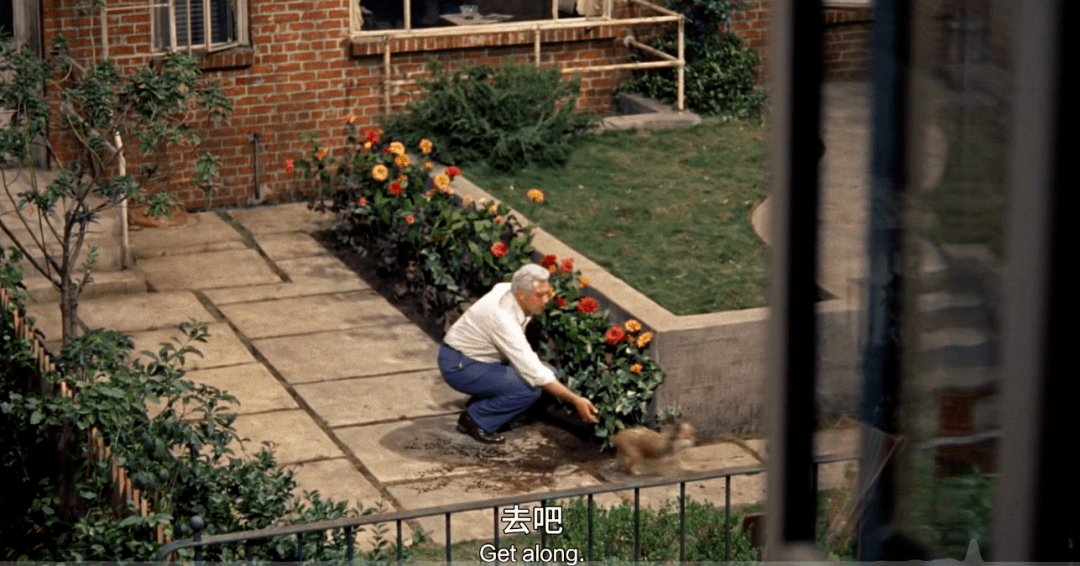 箱子|67年过去，它依然是“偷窥片”之神，没有之一