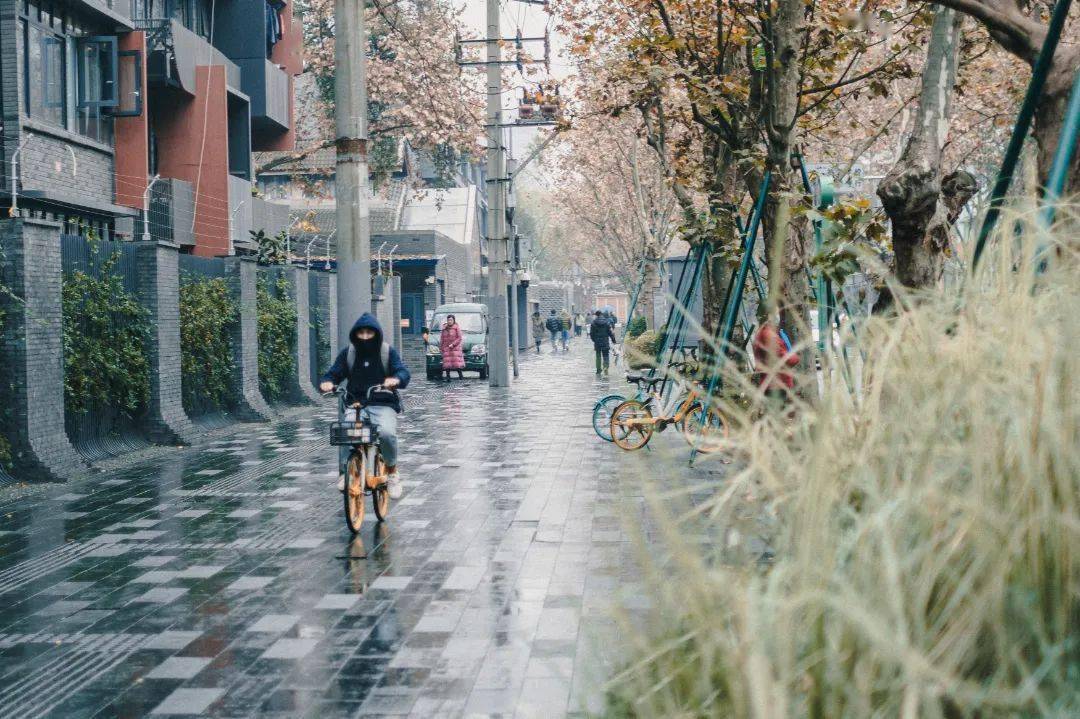 大学|传说中的最美街道，原来长这个样