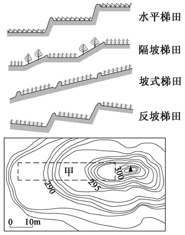 微专题 | 梯田_种植_耕地_风光