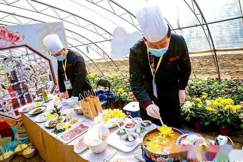 1日|又见61平谷国际徒步大道|网红西柏店菊花宴の赏菊吃菊大朵菊花