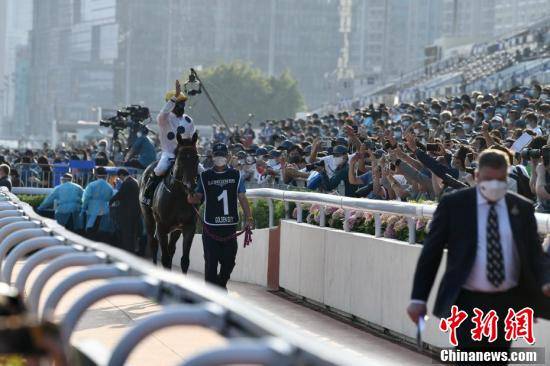 香港|香港赛马会举行浪琴表香港国际赛事