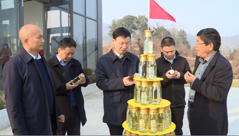 湖北省林业厅副厅长王昌友来罗田县调研两山理论实践和林业产业发展