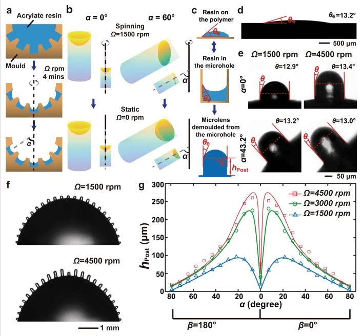 上理工这支科研团队的研究成果登上《自然》子刊_复眼_制造_结构