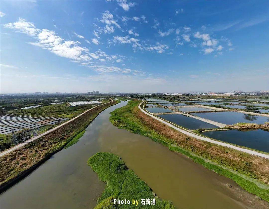 旁边就是增城三江飞行基地,所以还能偶尔看到小型滑翔机飞过.