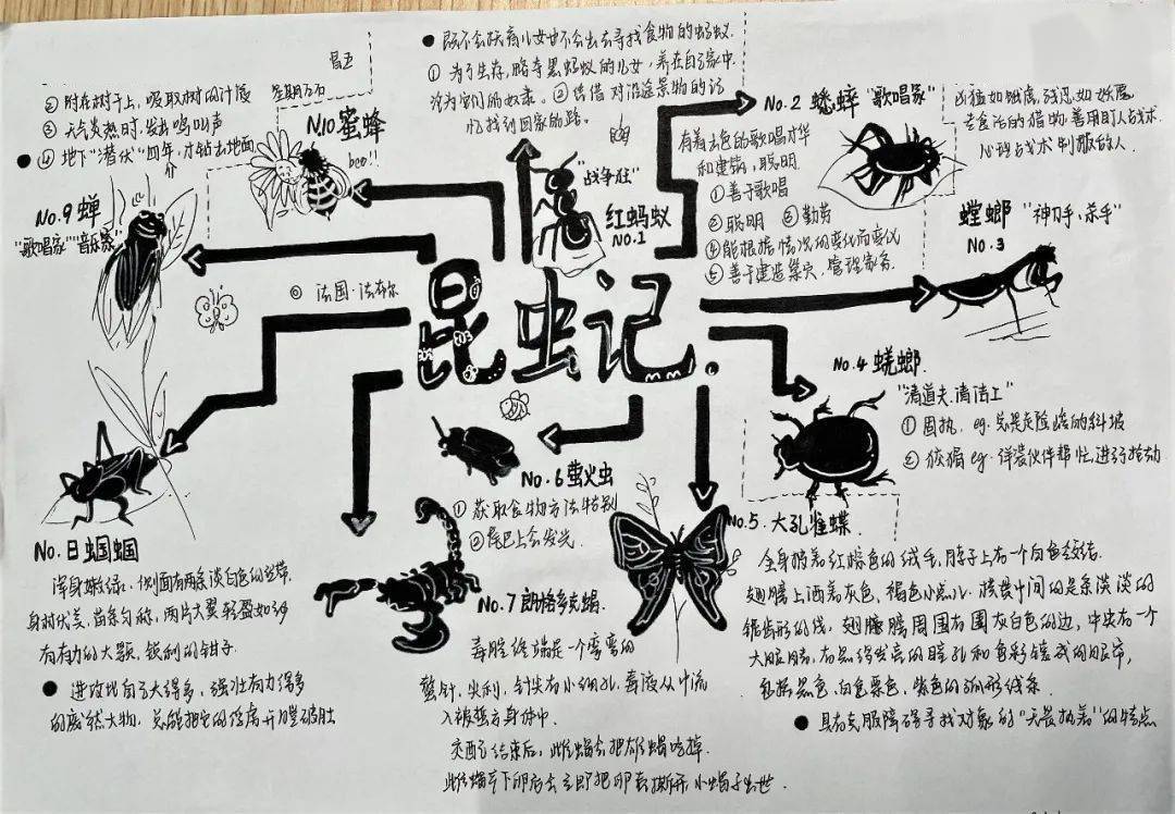 你是不是可以考虑分析四大名著之一《西游记》彩铅画,水粉画,思维导图
