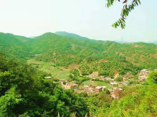 乡村振兴彭溪村美丽彭溪展现新面貌