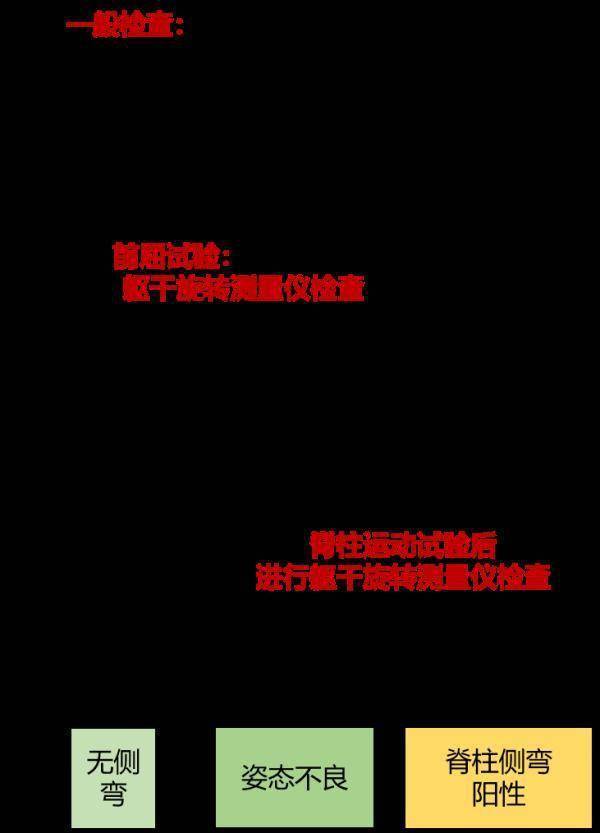 躯干|孩子脊柱侧弯？用这三个方法就可以在家自检！