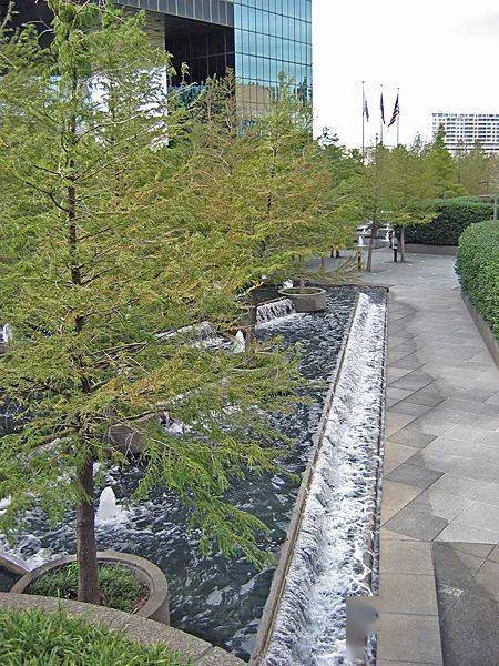 水中树池的经典作品值得一看