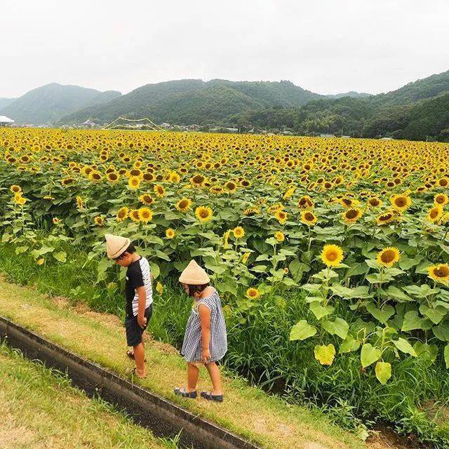 哥哥|乡下妈妈晒娃，不露脸不拼颜值，却引来7万人围观