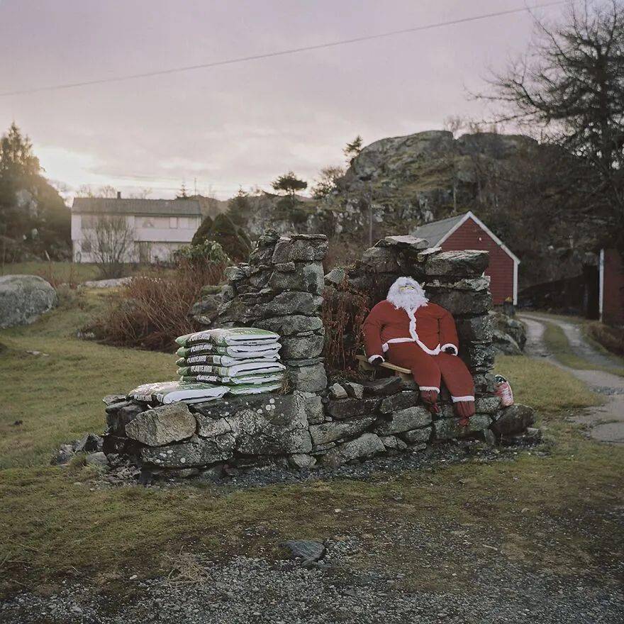 国际摄影奖的50张最佳照片