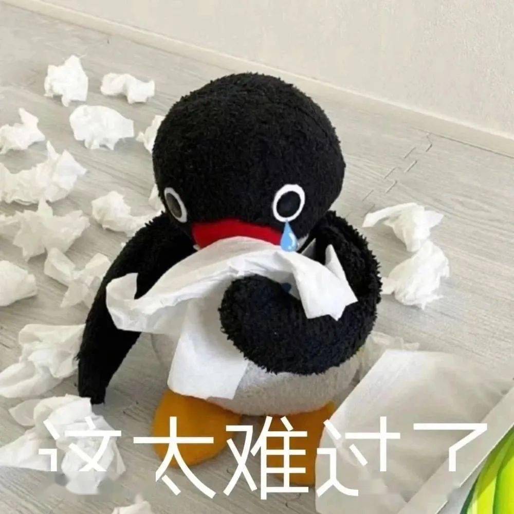 每日沙雕表情包