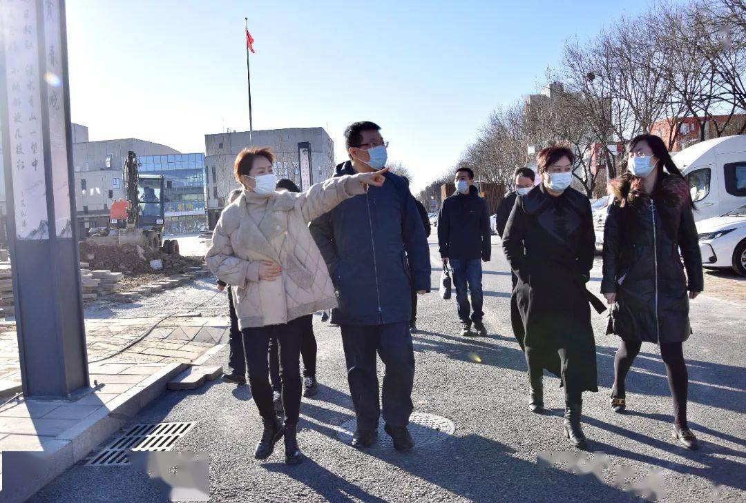 查细节促提升夯实创建基础区委常委赵鹏到顺义区文化中心督导检查创城