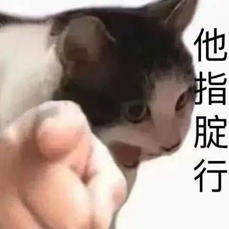 爱生活2021年度十大表情包出炉你用过几个