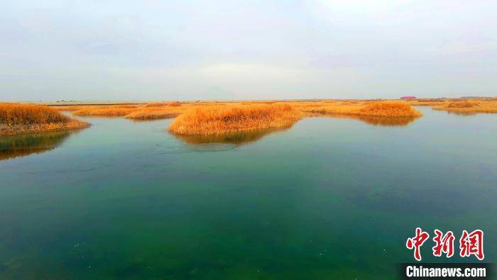 湖水|冬季新疆永安湖自然景色壮观