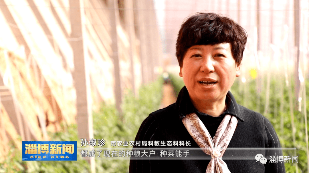 市农业农村局科教生态科科长 孙淑珍:教给农民看,领着农民干.