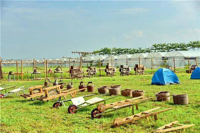 挖番薯体验农耕之乐,捕年鱼收获年年有余,广州幸福田园99元两大两小迎