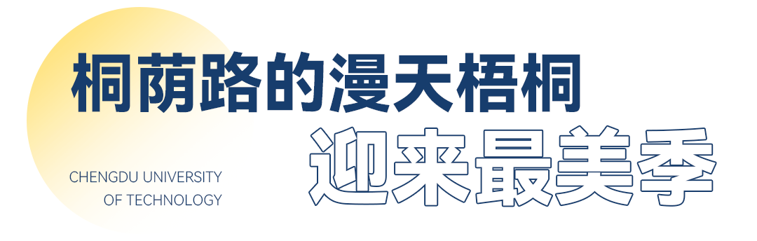 梧桐|成都最美梧桐高校，去的人却都横着出来？！