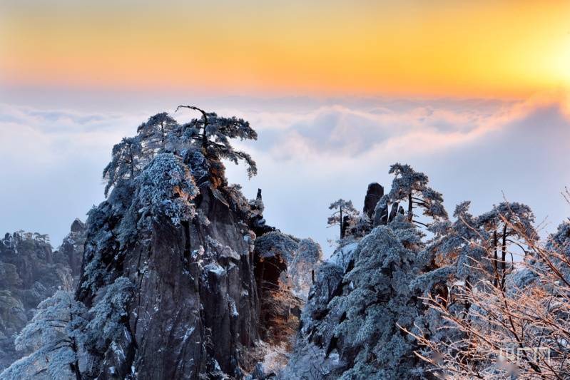 怪石|雪后黄山 宛如仙境