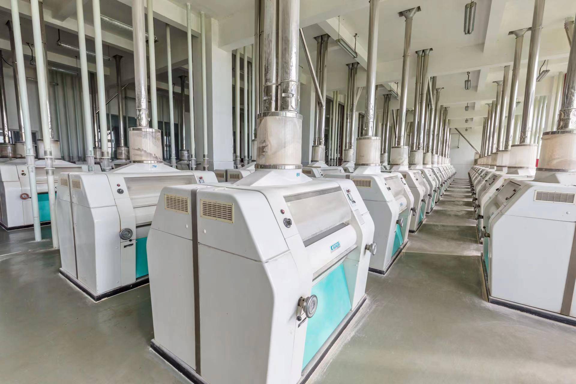 "黑科技":低温锁住大米新鲜,高浓度氮气催眠小麦_进行_储粮_刘子立