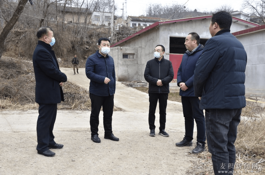 麦积区区长赵虎生图片