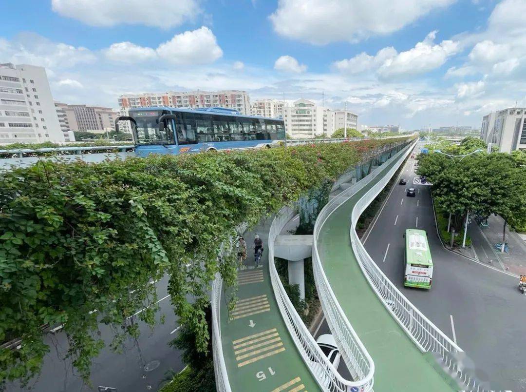 厦门交通建设的40年从末梢变身国际性综合交通枢纽