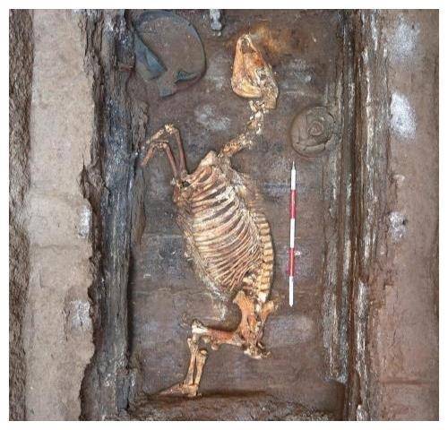 国家文物局确认:江村大墓为汉文帝霸陵_汉文帝霸陵出土过千件裸体陶俑