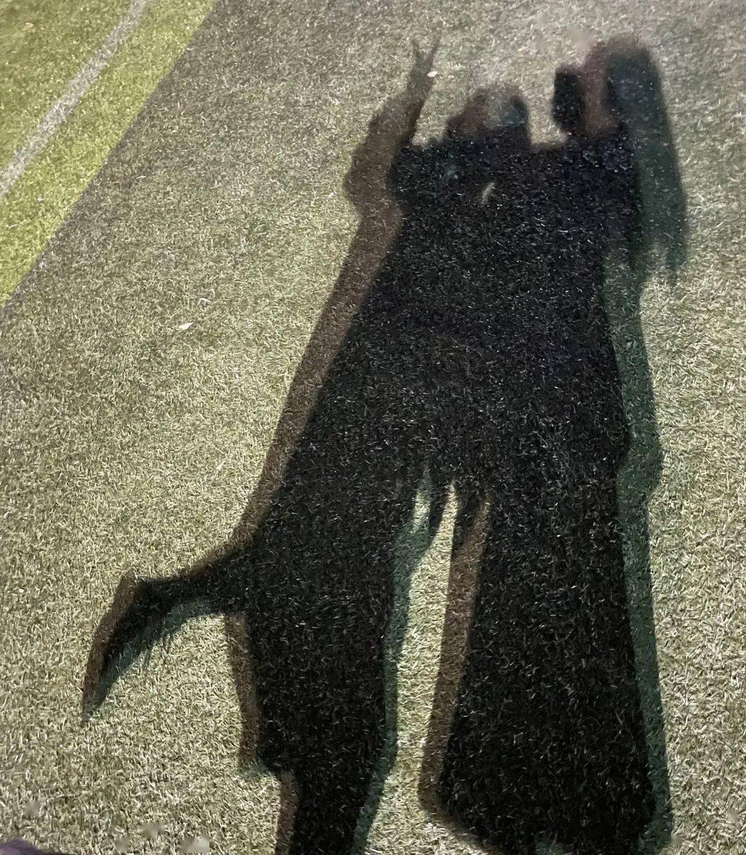 ChatGPTȸ̣ʲô