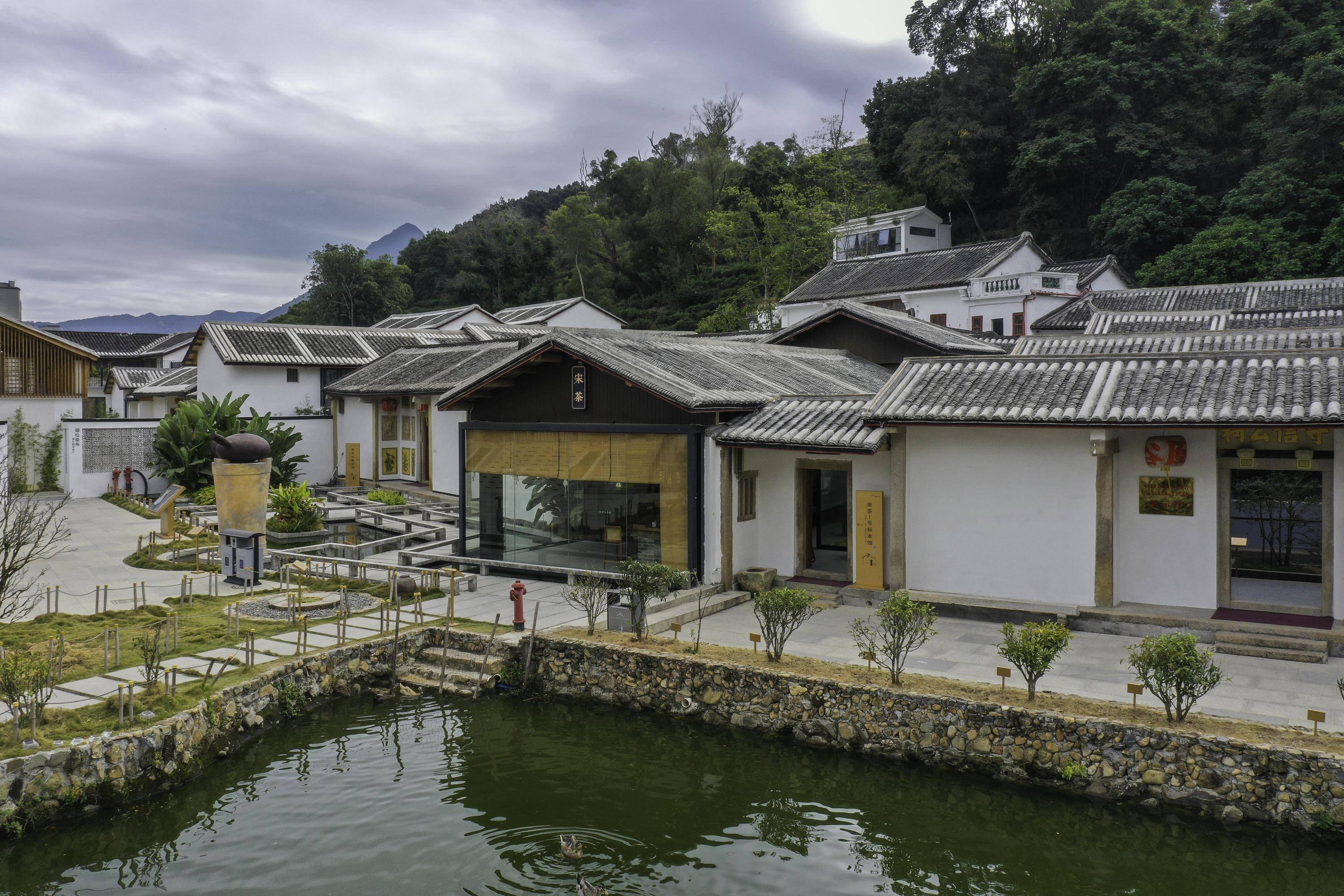 凤凰山|广东潮州：发掘工夫茶文化 带动乡村振兴