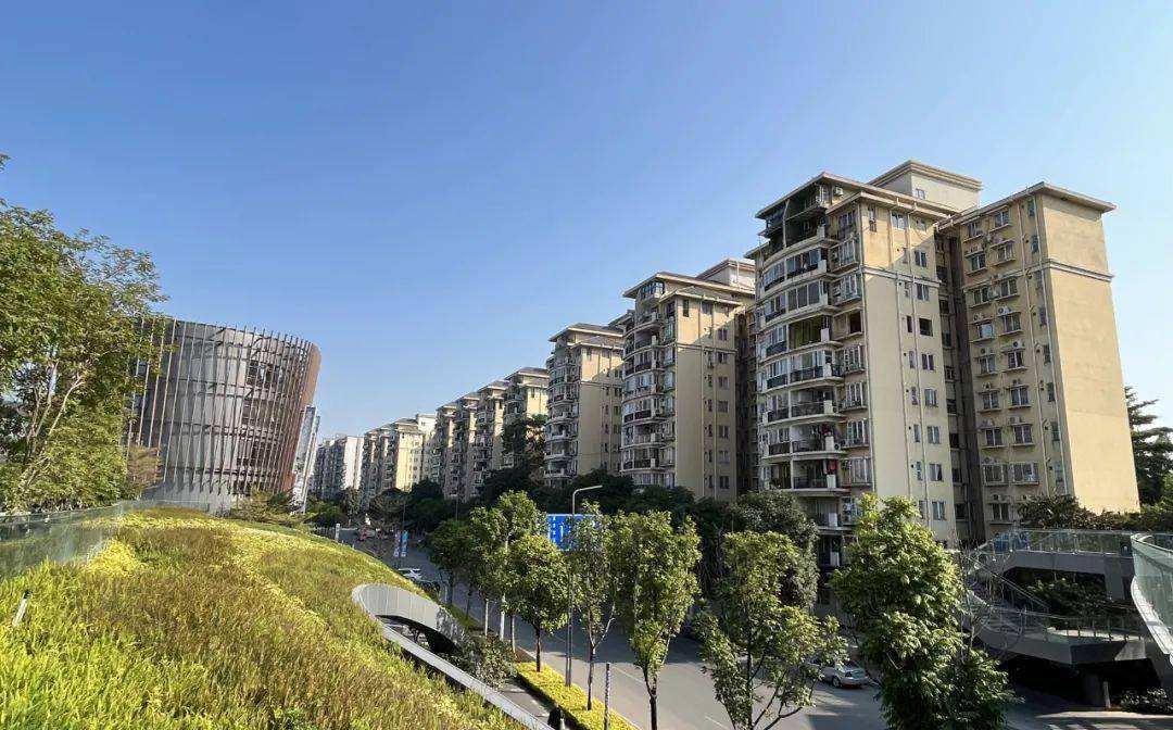 嘉禾望岗7万神奇居然有很多人买来这里