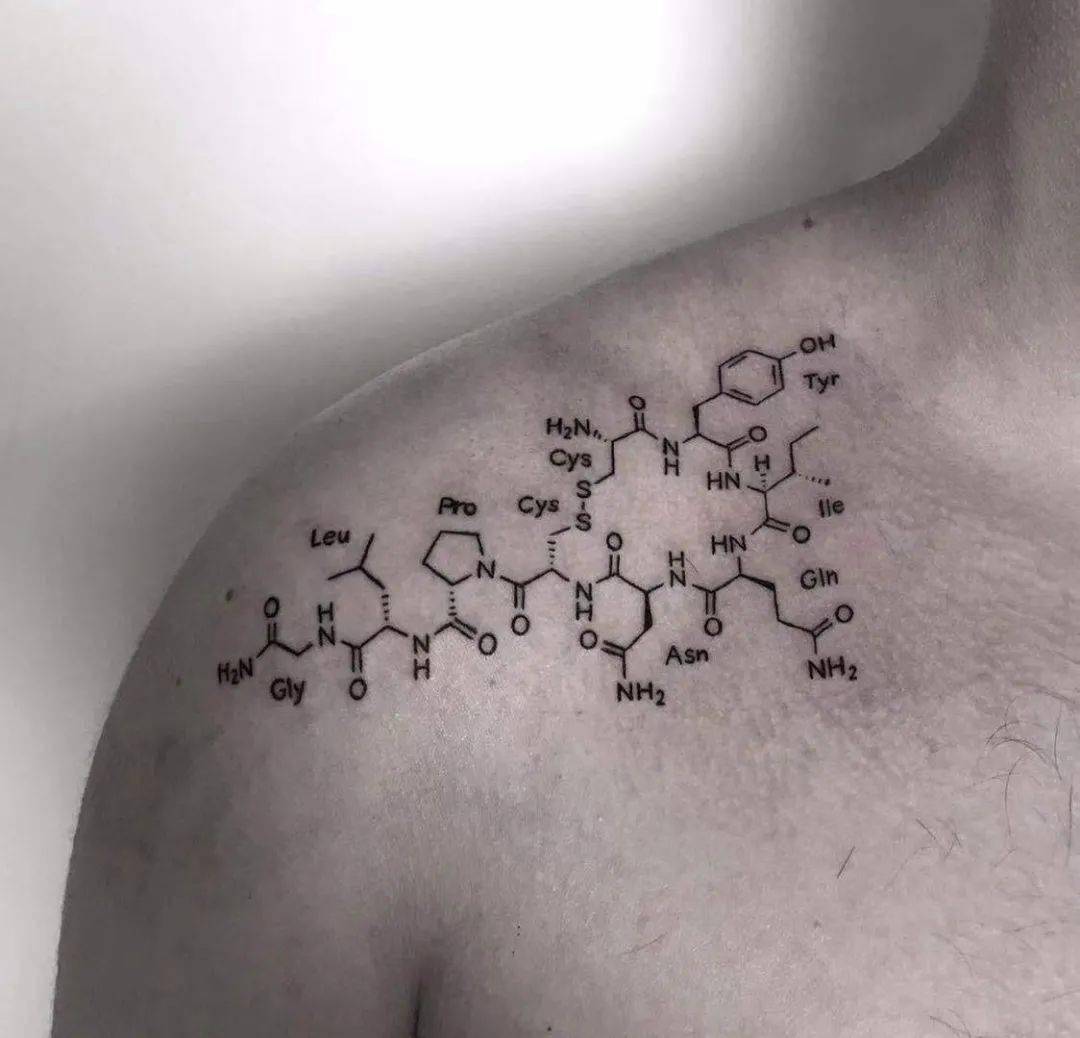 有趣的化学纹身