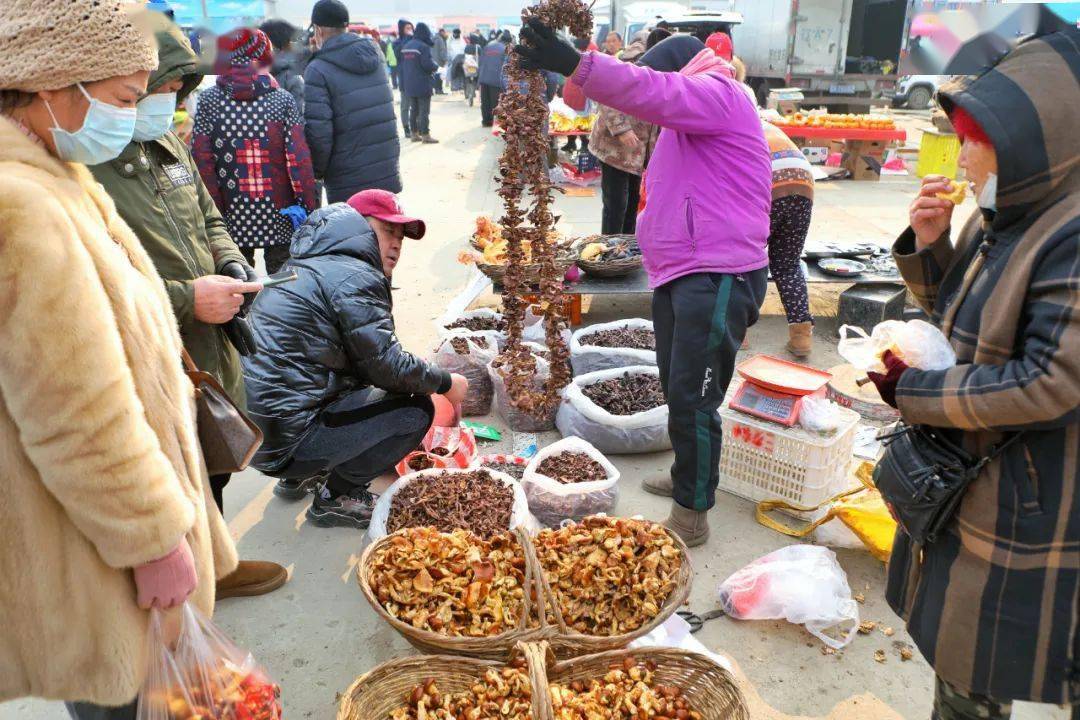 沈阳大集上新67这份赶集时间表赶紧收藏