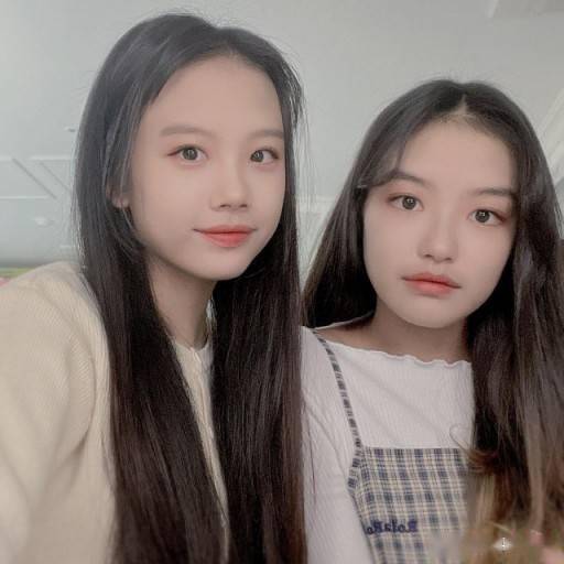 韩国这对著名双胞胎姐妹也陷入校园暴力争议了