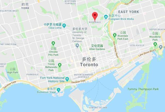 带你们去多伦多经典豪宅区玫瑰谷,看看一套$538.