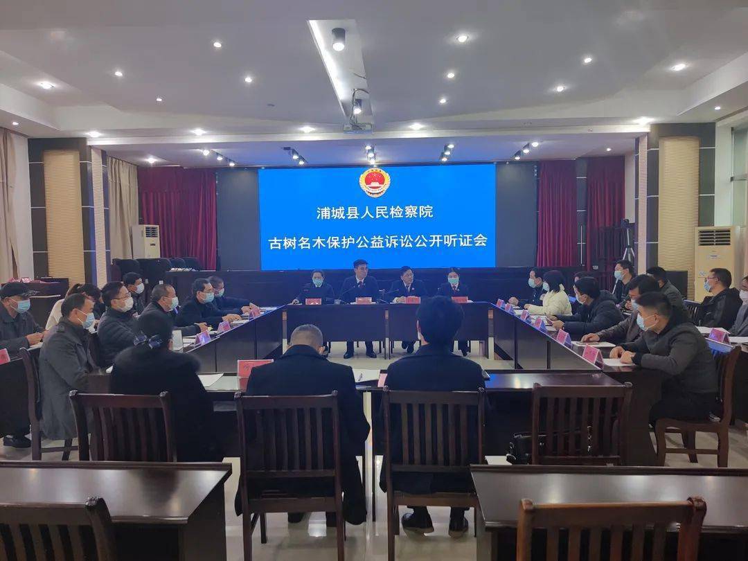 浦城检察公开听证公开送达为古树名木撑起司法保护伞