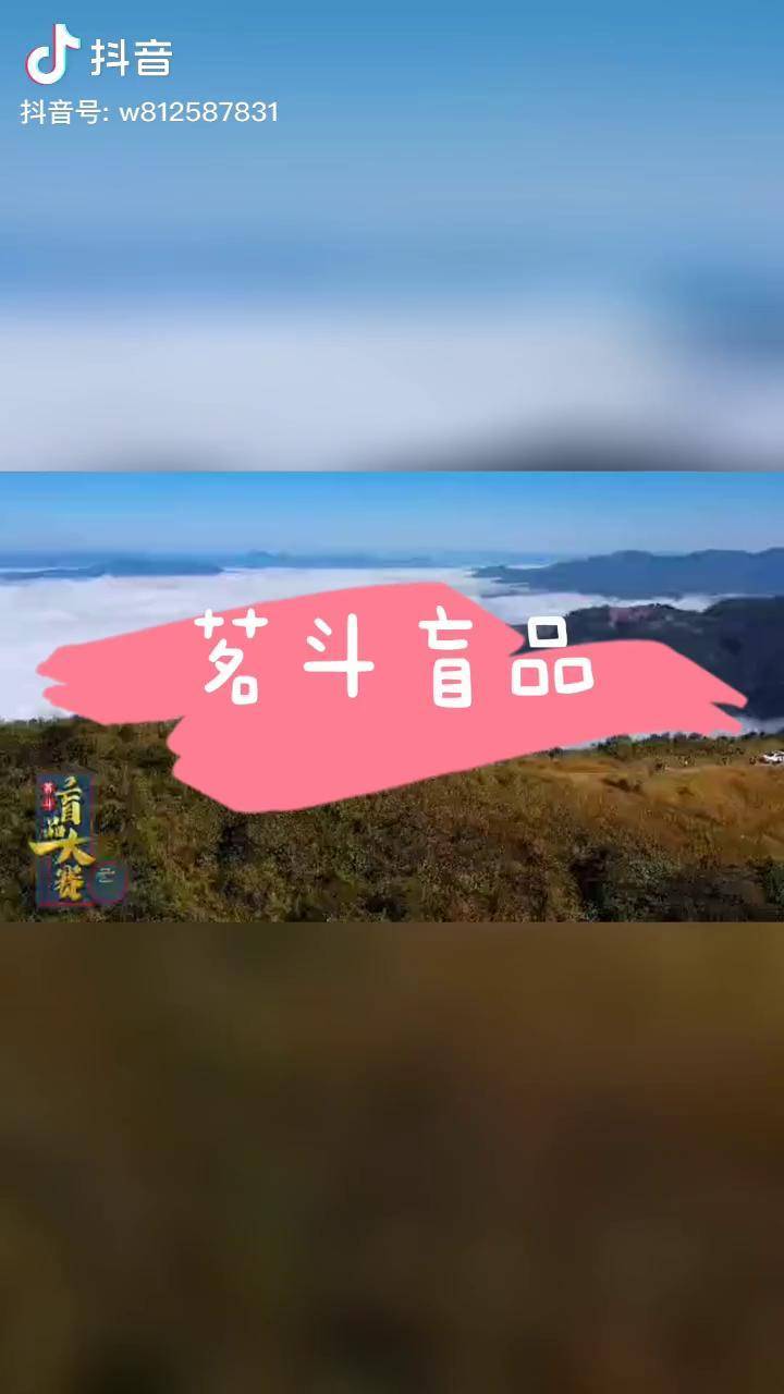 心存敬畏感恩先人攜茶前行茶生活原創品茶手工茶山