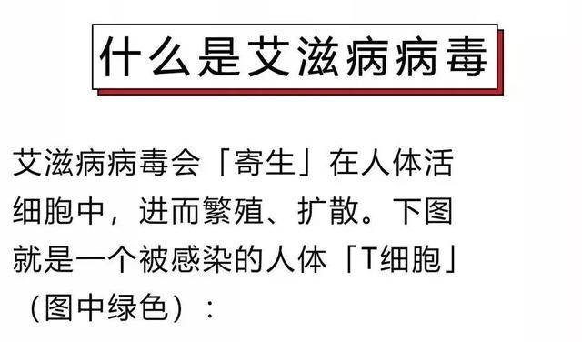 科学家首次公布录像啪啪啪为何会传染艾滋病毒