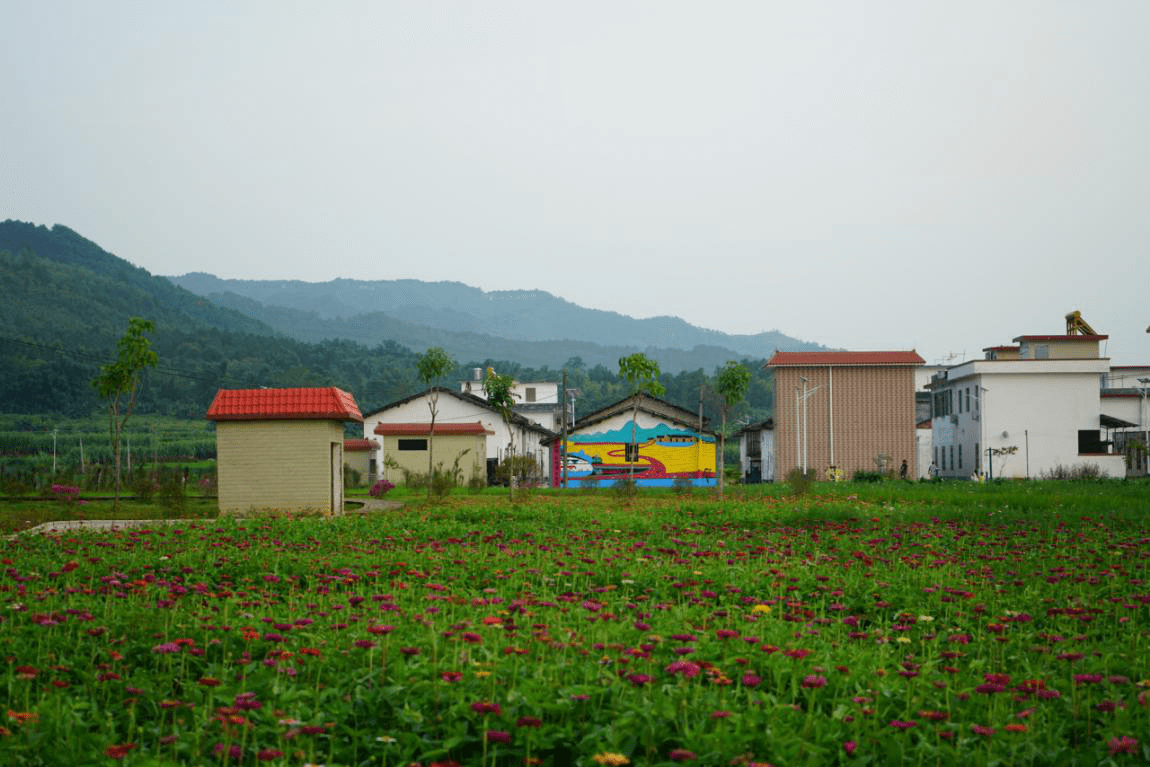 廊田新颜迎国庆乐昌市第二届中国农民丰收节暨廊田稻源文化