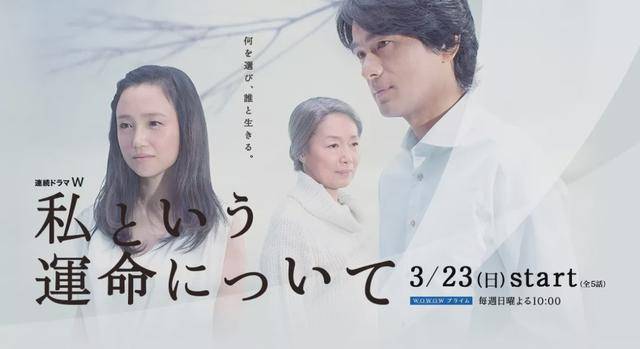 木村拓哉领衔 10部不可错过的高分冷门日剧 演员阵容 南极 作品